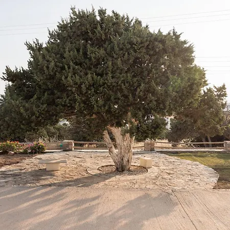 Lejlighed Aurea Blu 01, Sun, And Dreamlike Aliko Beach